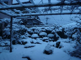 a0098027_17321971.jpg