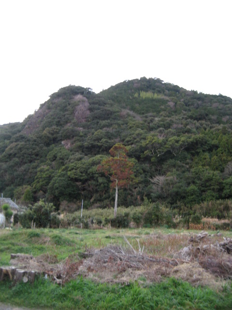 d0147727_20164854.jpg