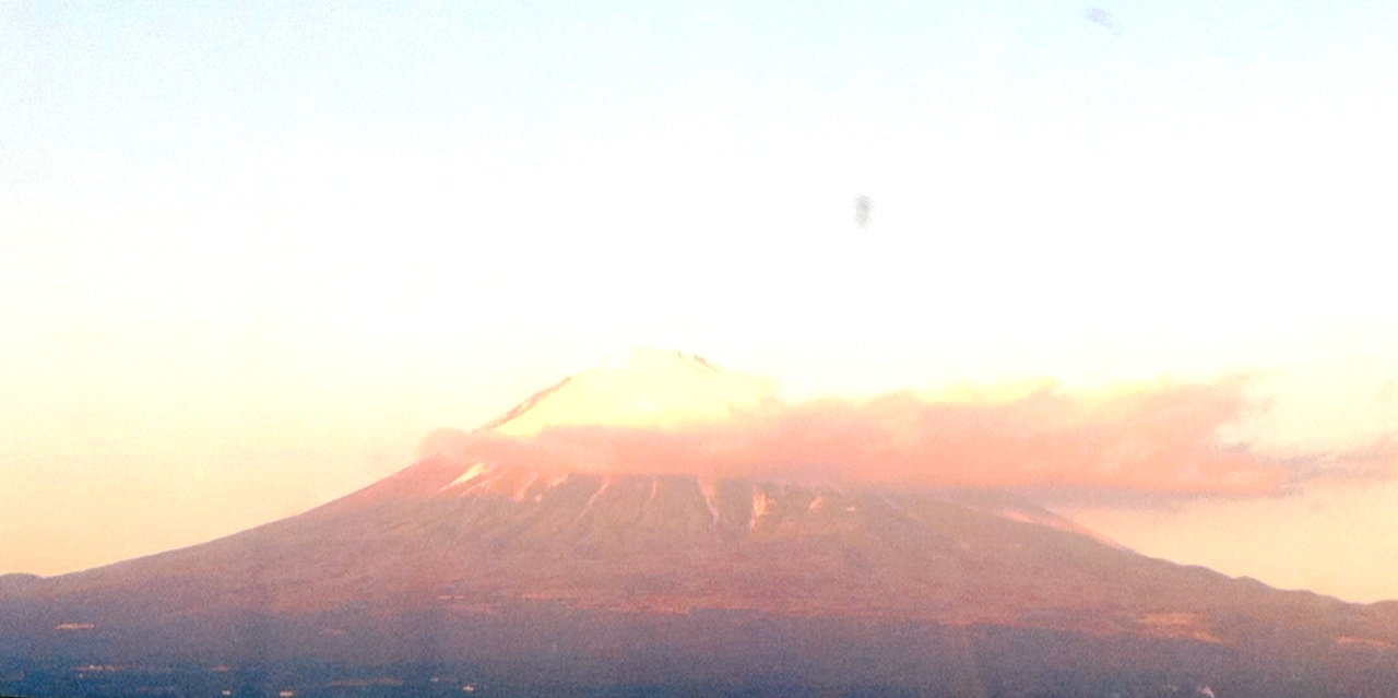 f0106832_23381684.jpg