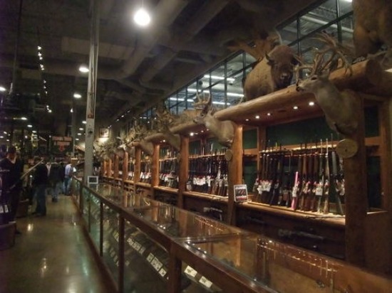 f0238932_384644.jpg