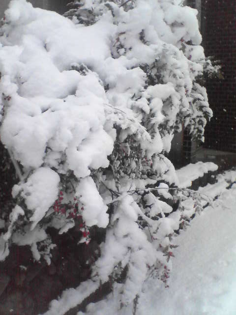 f0237037_1922223.jpg