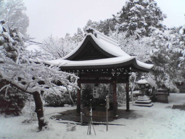 f0237037_19295356.jpg