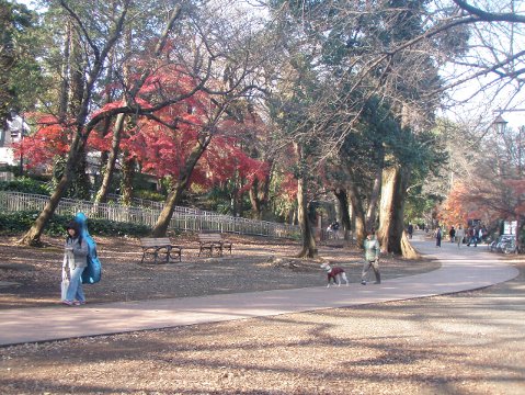 c0012640_1394292.jpg