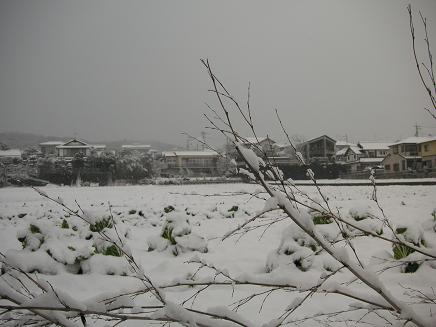 e0095842_23123821.jpg