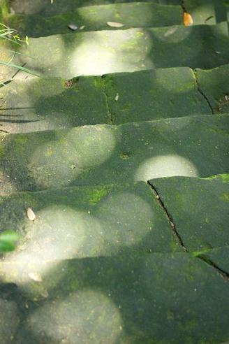 e0095842_23135749.jpg