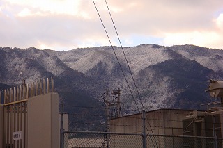 b0200747_935252.jpg