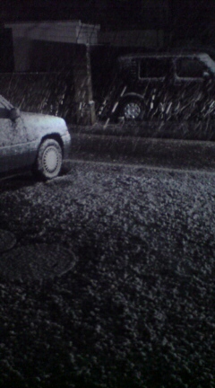 d0029958_0101180.jpg