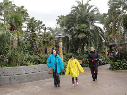 c0108460_0451159.jpg