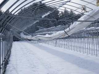 f0055264_1415184.jpg