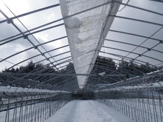 f0055264_14155926.jpg