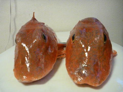 e0161972_9412482.jpg