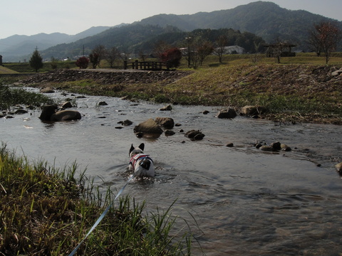 b0130273_21293546.jpg