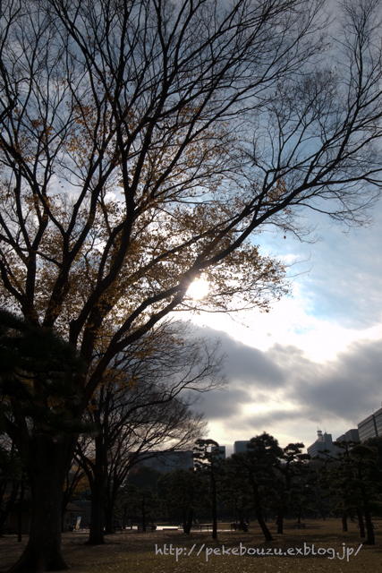 c0210275_16283953.jpg
