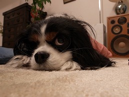 f0030875_16442890.jpg