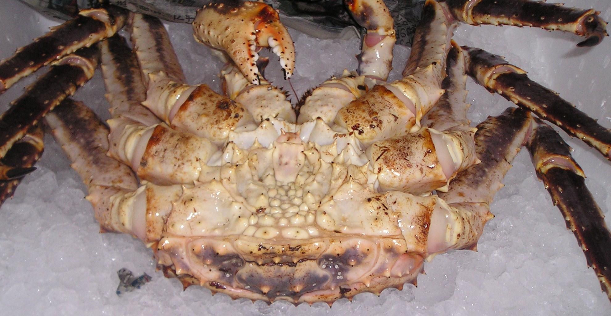 b0076778_21431726.jpg