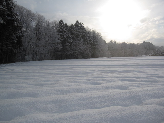 b0134278_12284793.jpg
