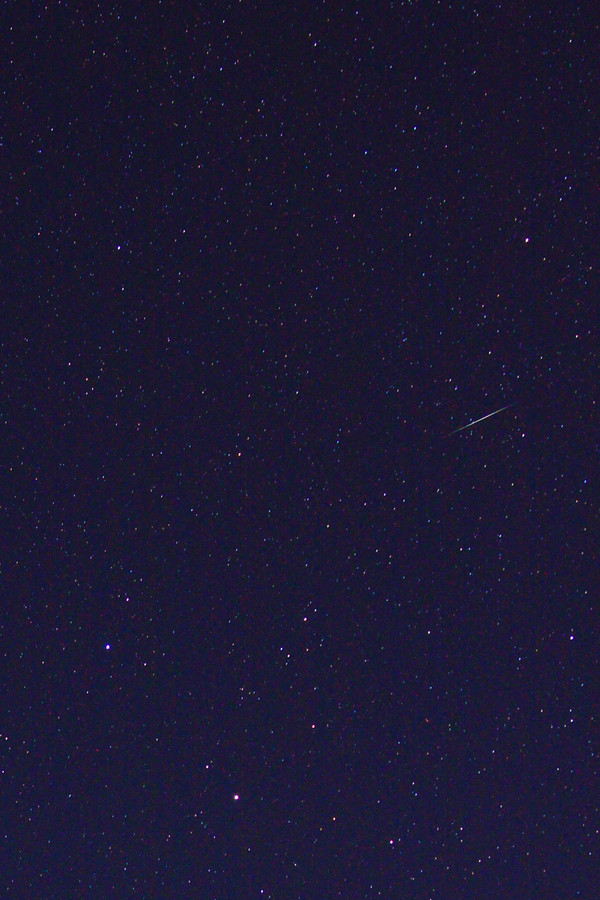 b0083779_115119.jpg