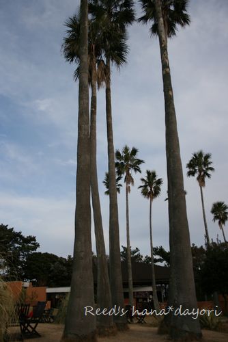 b0163486_21451284.jpg