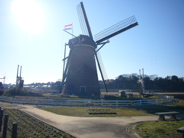 d0147789_23283965.jpg
