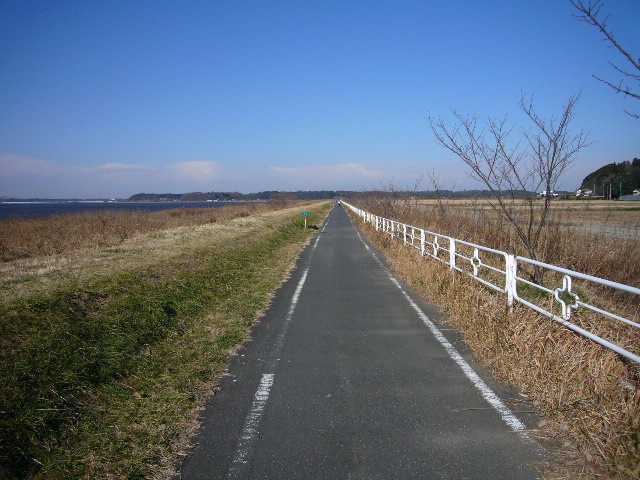 d0147789_2329368.jpg