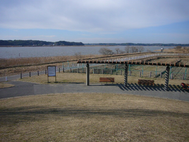d0147789_233317.jpg