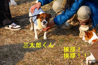 e0121589_1817341.jpg