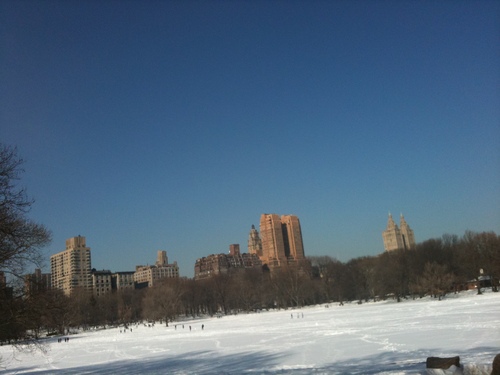 b0038991_17492580.jpg
