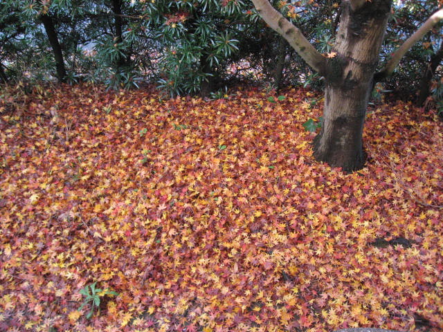 e0140491_16124314.jpg