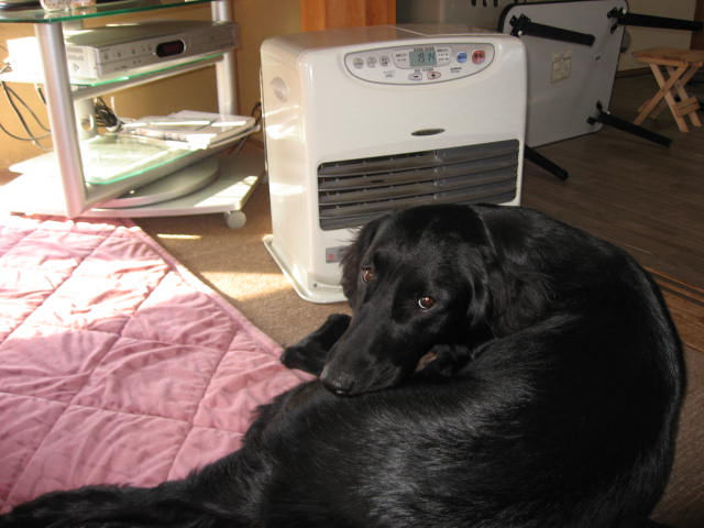 e0140491_16173515.jpg