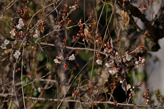 d0133693_22133490.jpg