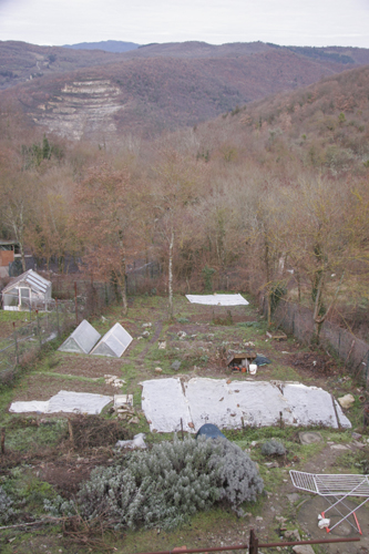 f0106597_22353212.jpg