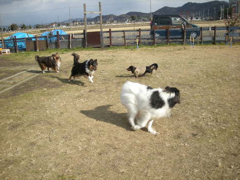 f0081100_18543460.jpg