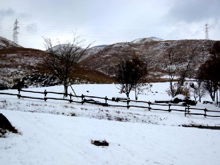 a0040103_2395898.jpg