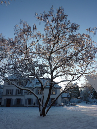 b0203203_650438.jpg