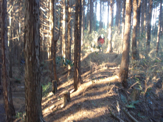 e0015108_11214739.jpg