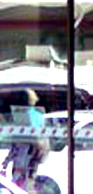e0103408_1194483.jpg
