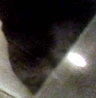 e0103408_16505867.jpg
