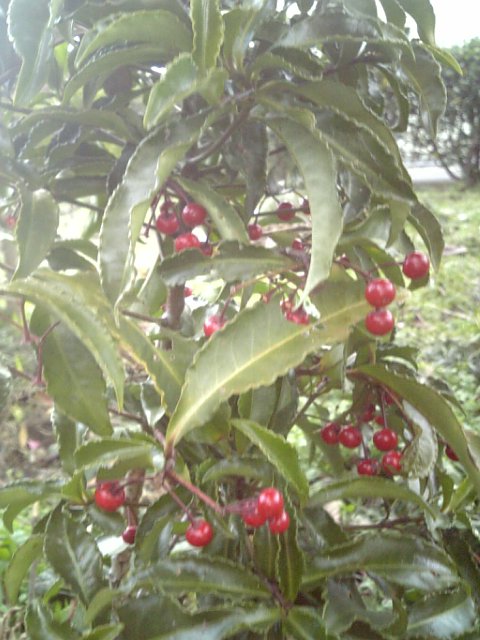 f0231709_16534881.jpg