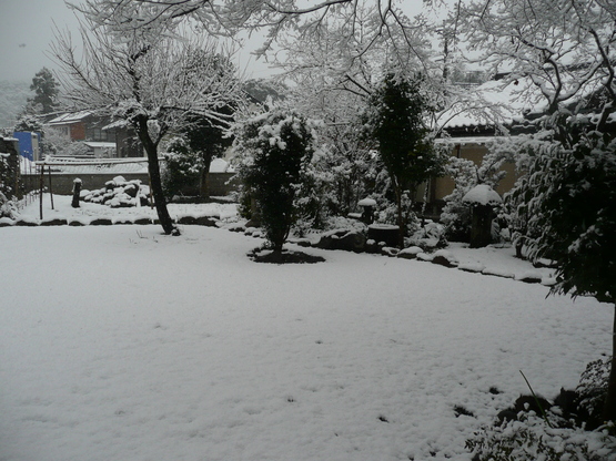 f0204110_2142394.jpg