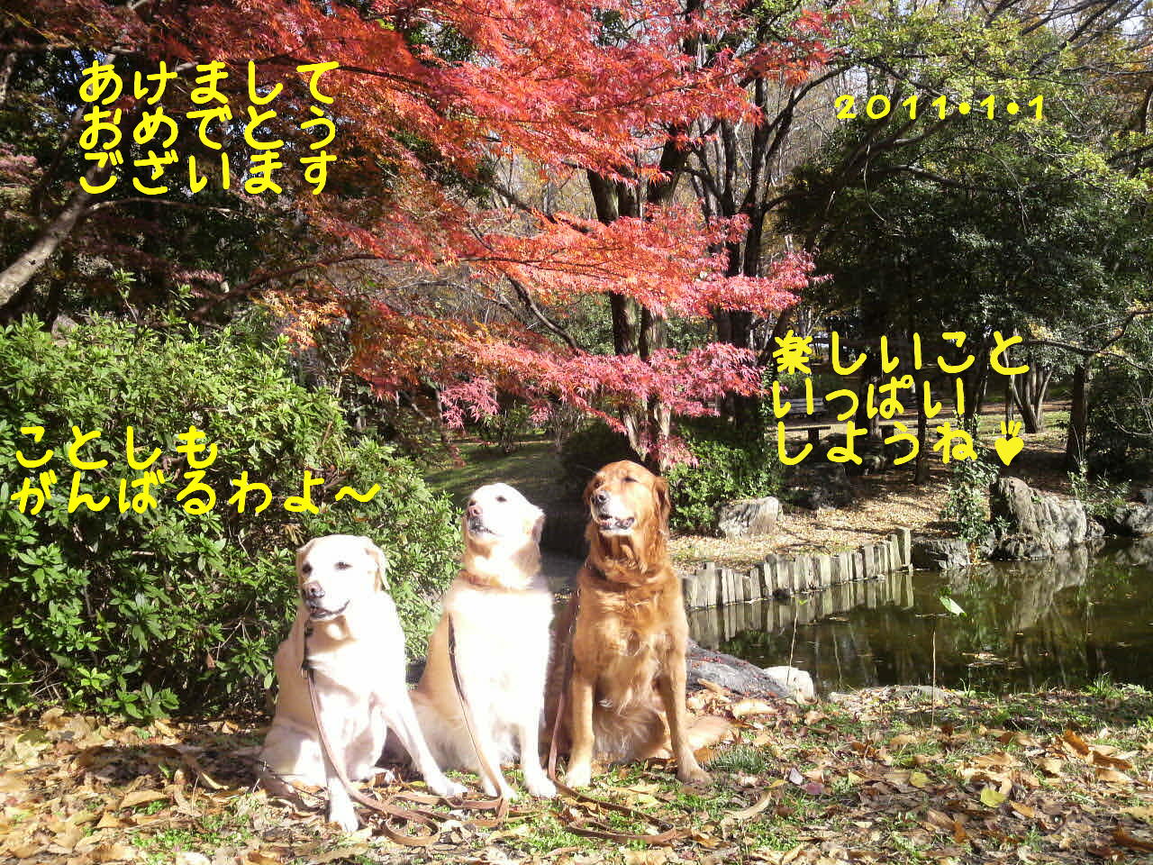 b0008217_033186.jpg