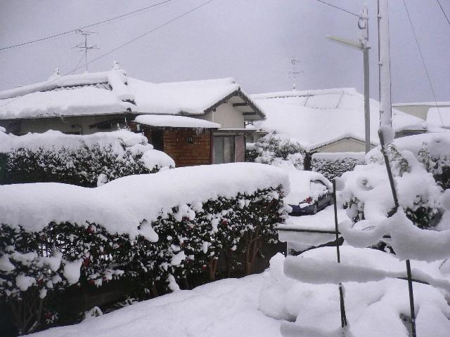 a0126618_22275314.jpg