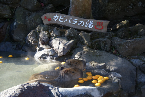 b0117618_254486.jpg