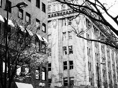 a0157619_2323689.jpg