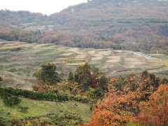 a0157619_23484472.jpg