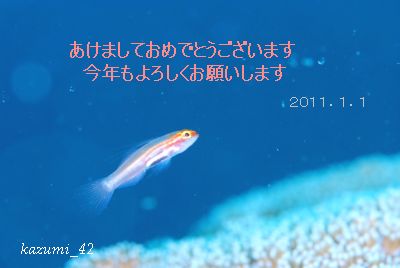 b0164920_16355478.jpg