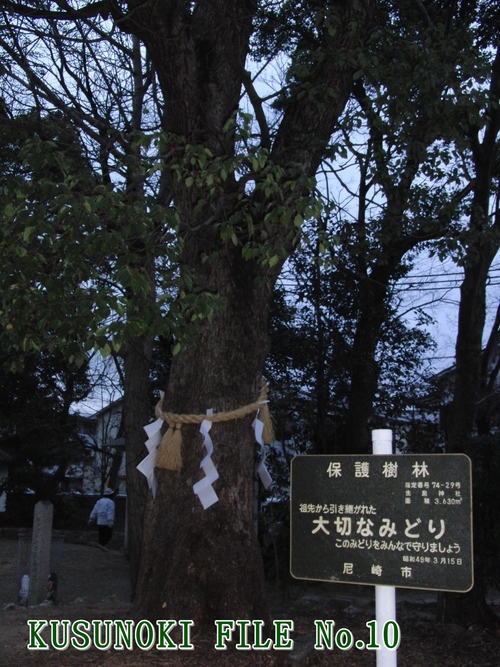 e0179321_2155044.jpg