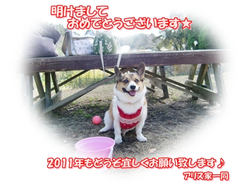 f0182121_0185683.jpg