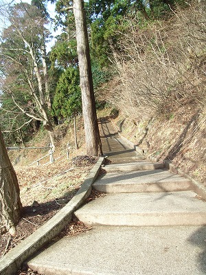 b0091423_18473649.jpg