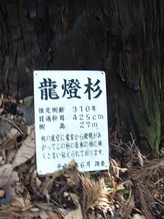 b0091423_1903566.jpg