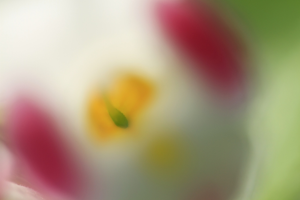 b0146723_12323682.jpg